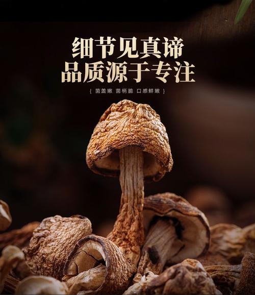 云南特产姬松茸干货精选原色无硫食用农产品菌菇煲汤食材新鲜香菇